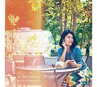 a Suitcase of Dreams