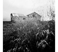 A Sun Amissa - You stood up for victory, we stood up for less