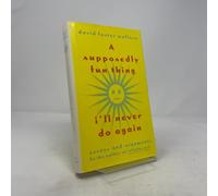 A Supposedly Fun Thing I'll Never Do Again: Essays and Arguments