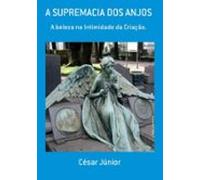 A Supremacia Dos Anjos (ebook)