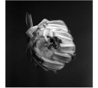 A Swarm Of The Sun – An Empire – Vinilo
