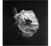 A Swarm of the Sun An Empire (Vinyl) 12" Album (Importación USA)