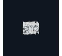 A swarm of the sun - The wood beyond the world