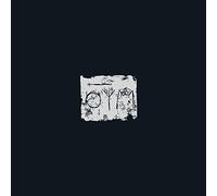 A Swarm Of The Sun - The Woods [Vinilo]