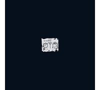 A Swarm Of The Sun – The Woods – Vinilo