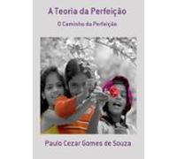 A Teoria Da Perfeição (ebook)