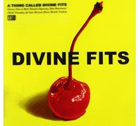 A Thing Called Divine Fits by Divine Fits