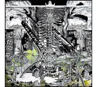 A Time Between Birth and Chaos [Vinilo]