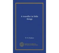 A traveller in little things