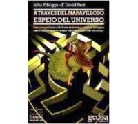 A través del maravilloso espejo del universo (SIN COLECCION)