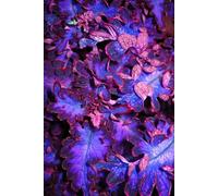 A Triad Moon - Haunted by Ghosts