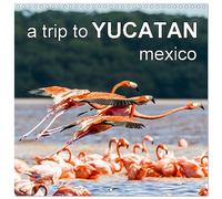 a trip to YUCATAN mexico (Wall Calendar 2026 12" x 24" / 30 x 60 cm (open)) CALVENDO 12 Month Wall Calendar