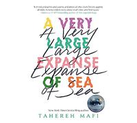 A Very Large Expanse of Sea: from the bestselling author of the TikTok Made Me Buy It sensation, Shatter Me