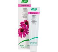 DENTAFORCE EQUINACEA PASTA 100 GR