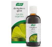 A. Vogel Ginkgoforce Gotas 100 ml