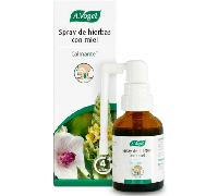 A.Vogel Spray de Hierbas con Miel | Calmante para Vías Respiratorias | A partir de 4 años | Con Gordolobo, Malvavisco y Miel | Sin Gluten y Sin Lactosa | 30 ml