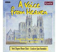 A Voice From Heaven