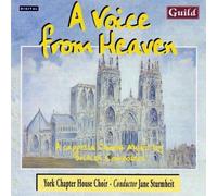 A Voice From Heaven