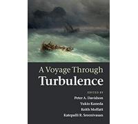 A Voyage Through Turbulence Paperback