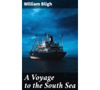 A Voyage To The South Sea (ebook)