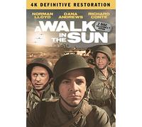 A Walk In The Sun: The Definitive Restoration (2 Disc Collector's Set) [DVD]