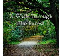 A Walk Through the Forest: A Beautiful Nature Picture Book for Seniors With Alzheimer’s or Dementia. This Makes a Wonderful Gift for an Elderly Parent or Grandparent. (Picture Books For Seniors)