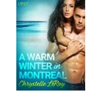 A Warm Winter In Montreal - Erotic Short Story (ebook)