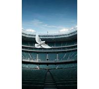 A white dove in sight