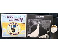 A Whiter Shade of Pale / A Salty Dog (UK double vinyl LP)