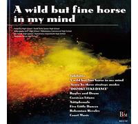 A Wild But Fine Horse in My Mi