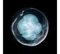 A Winged Victory for Sullen - The Undivided Five (Limited Edt.) [Vinilo]