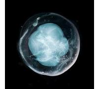 Una Victoria Alada Para Los Tristes - Los Cinco Indivisibles