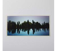 A Written Testimony [Vinilo]