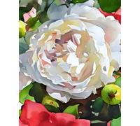 A Year in Bloom: 2025-2026 Monthly Planner: A Simple Organizer with Notes, Budget Pages & Garden Photography from Blooms on Vine