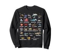A-Z Ocean Life Alfabeto Criaturas Marinas Exploración Sudadera