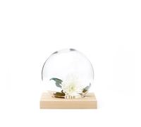 A2 Adorno Space Roble aceitado blanco. vidrio