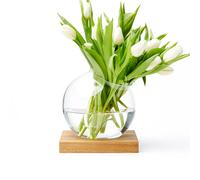 A2 Adorno Space Roble aceitado. vidrio