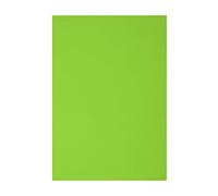 A4 Size Foam Sheets 10-Piece, 0.2 cm Thickness, Light Green