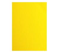 A4 Texture Florence Cardstock Canvas, 10-Piece, Lemon Yellow