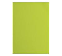 A4 Texture Florence Cardstock Canvas, 10-Piece, Lime