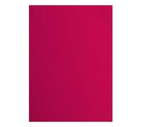 A4 Texture Florence Cardstock Canvas, 10-Piece, Raspberry