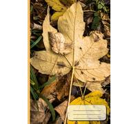 A5 Lined Notebook with Maple Leaves Cover - 72 Pages - Cute Writing Journal for School & Notes: Autumn maple leaf design | Lined pages with margins | Perfect for school, journaling and daily writing