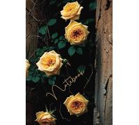 A5 Numbered Blank Notebook - 150 Pages | A5 (5.8" x 8.3") | Yellow Roses on Tattered Black Wall Cover: Urban Aesthetic Journal for Writing, Sketching, Notes, Bullet Journaling