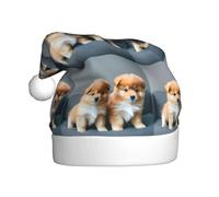 aabkjgfr Pomeranians Puppies And Point 1 Print - Sombrero de Papá Noel para adultos, suave y cómodo, adecuado para fiestas de Año Nuevo, en interiores y exteriores.