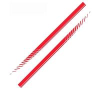 AALXF Vinilos Adhesivos Laterales para Toyota RAV4 2006-2013, Calcomanía de Rayas Modificado, Pegatinas Falda Deportiva, Decoración Exterior Coche, Juego de 2 Piezas DIY,G-Red 2