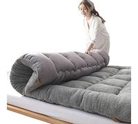 AANNAA Futon Mattress Velvet Roll Up Winter Futon Mattress, Portable Floor Sleeping Pad for Student Dormitory Guest Bed,Grey,Twin(100x200cm(39 * 79inch))