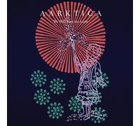 Aarktica We Will Find The Light (Vinyl) (Importación USA)