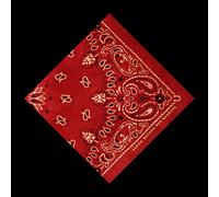 Aaron Watson - Red Bandana