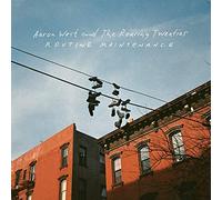 Aaron west and the roaring twenties - Routine maintenance [Vinilo]
