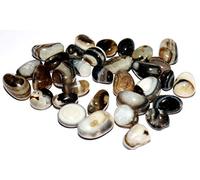 Aashita Creations Sulemani Hakik/Hakeek/Aqeeq/Aqik Tumble Stones Healing Crystal Gemstones